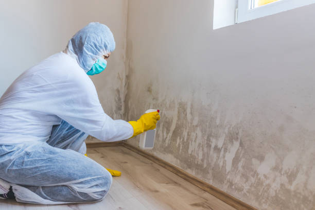 Licensed Mold Testing service in Manassas, VA - WQB Mold Removal
