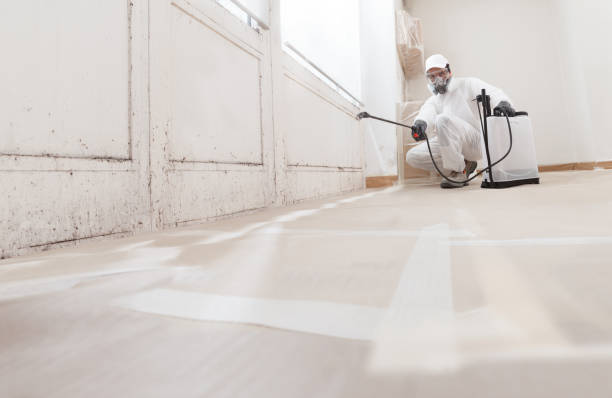 24/7 Emergency Mold Testing experts in Manassas, VA