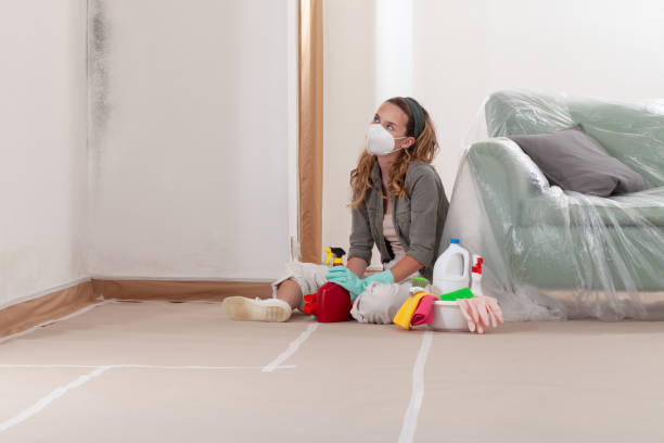 Reliable Mold Testing contractor in Manassas, VA by WQB Mold Removal